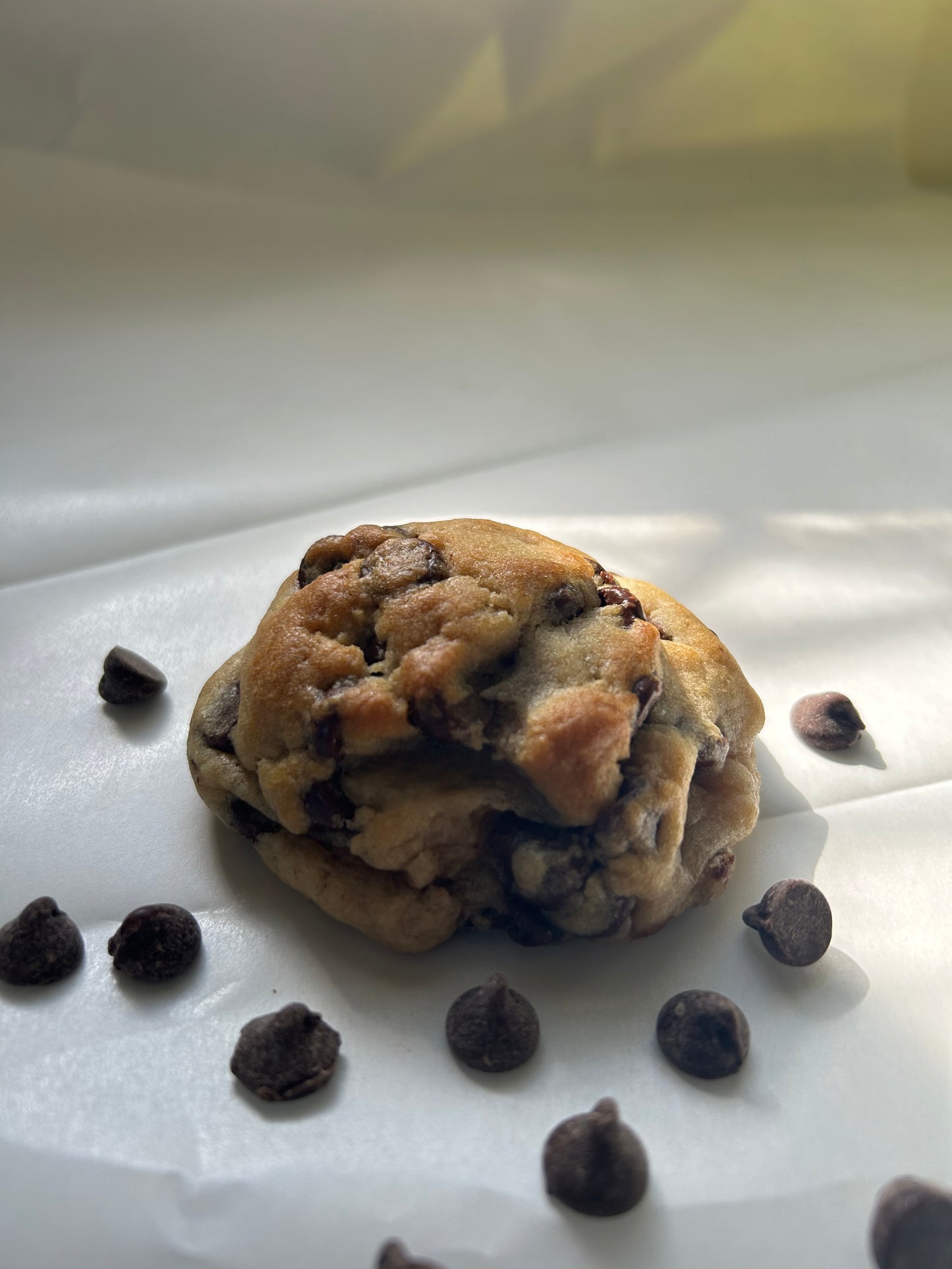Chocolate Chip Cookie