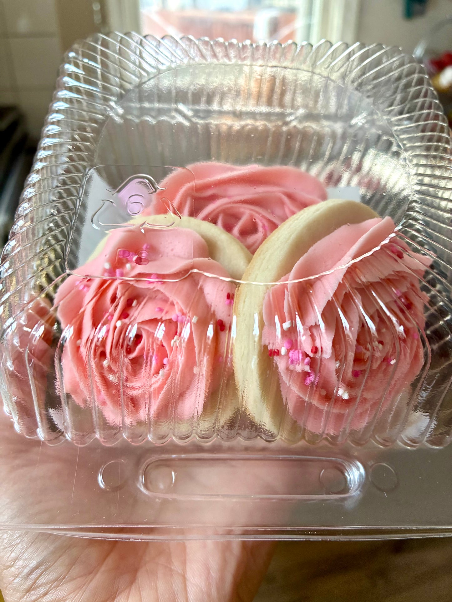 Sugar Cookie