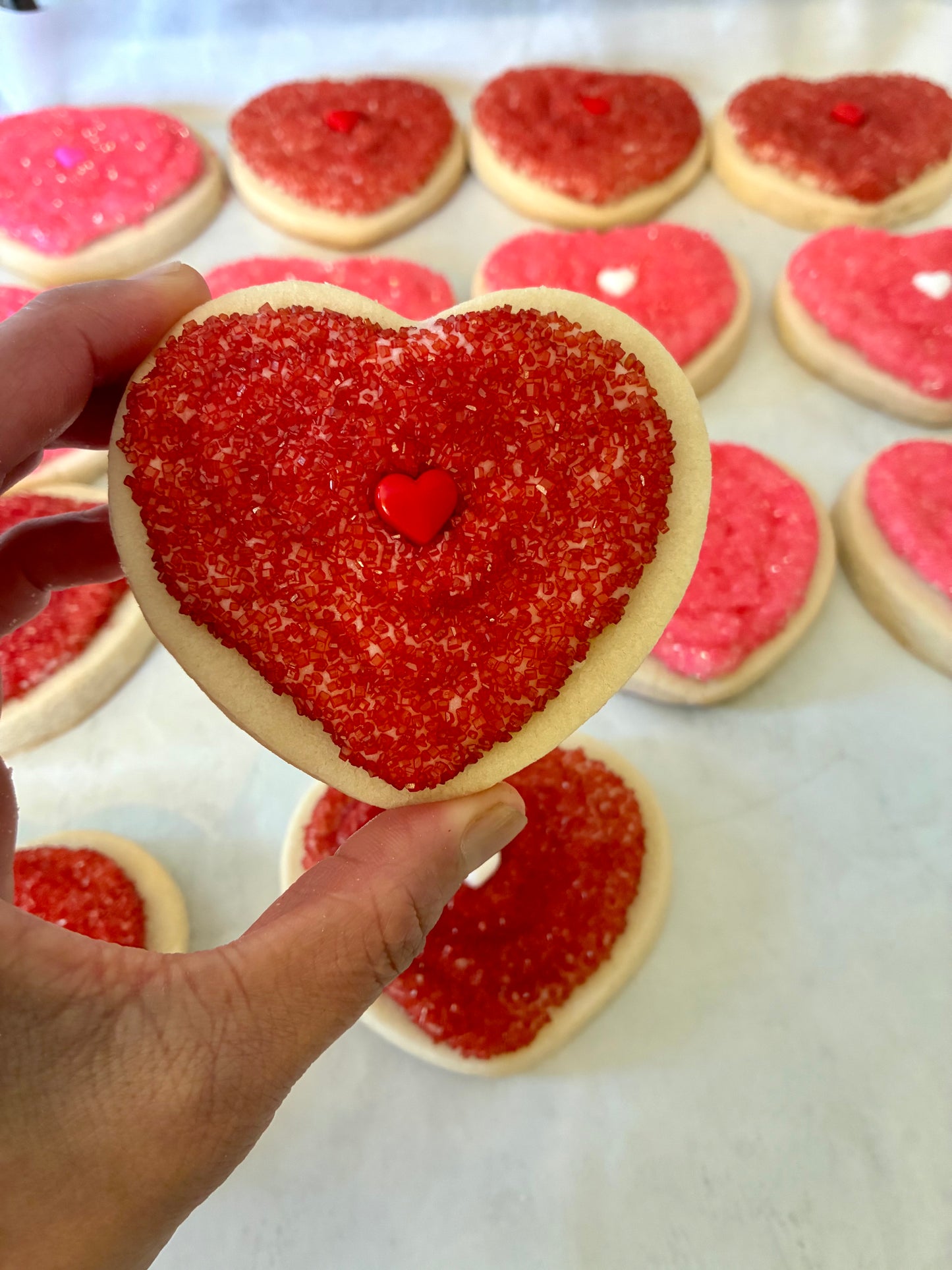 Sugar Cookie