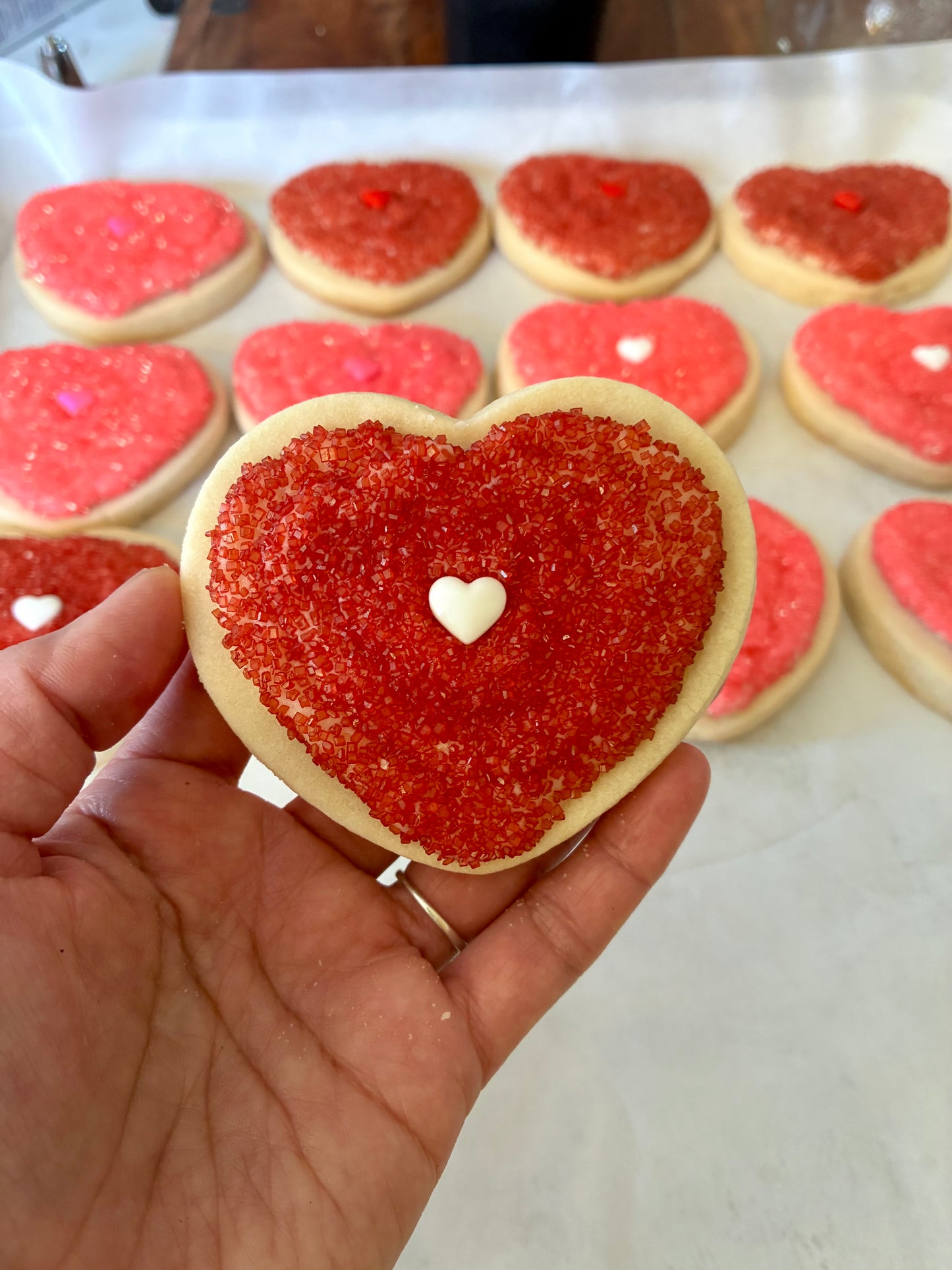 Sugar Cookie