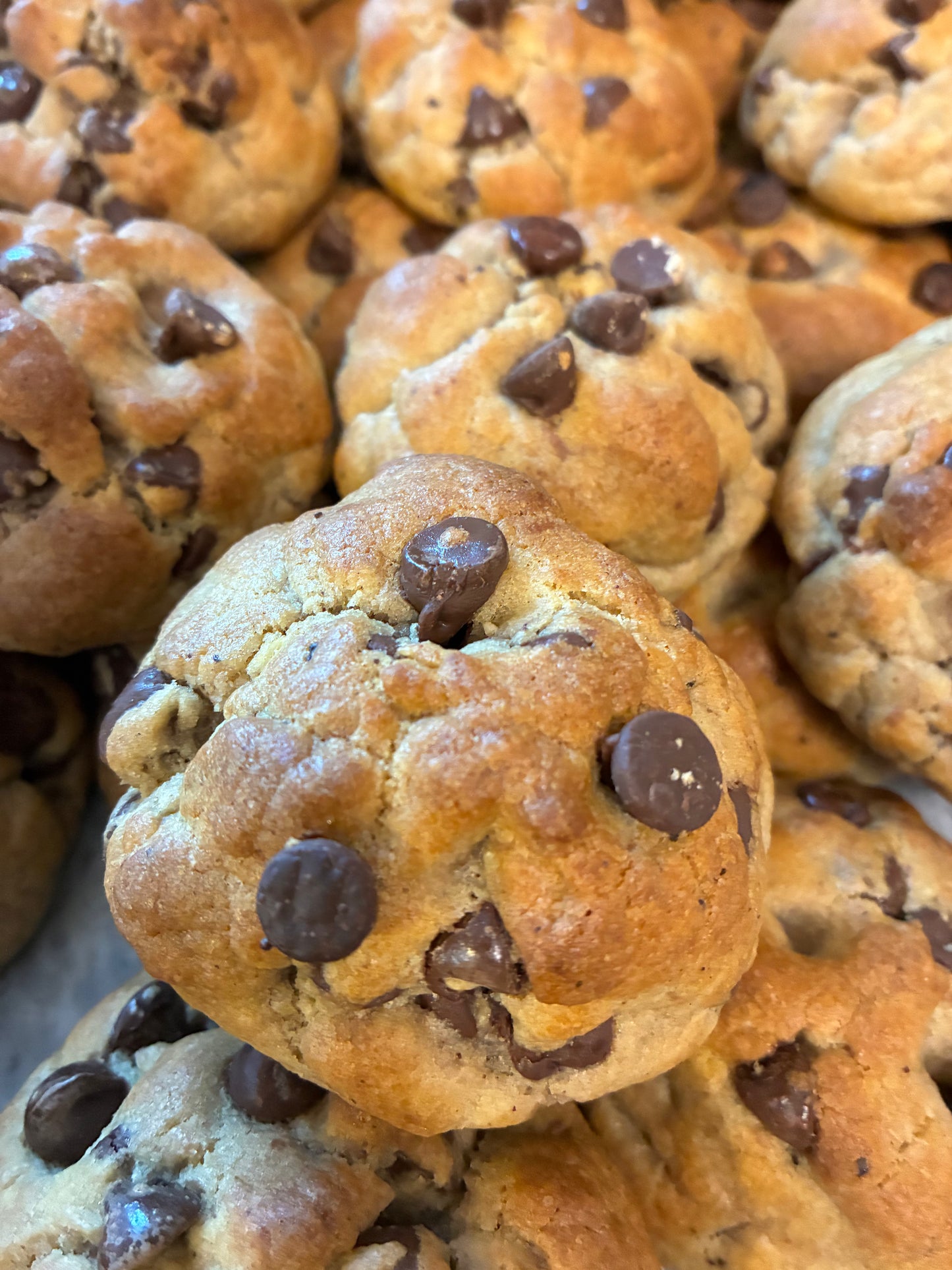 Cookies- Regular